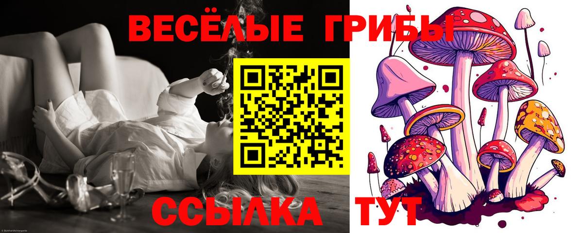 Галлюциногенные грибы мицелий  Вход с VPN  Мурманск 